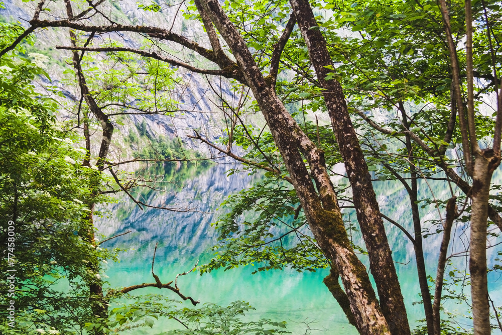 Panoramic view of Obersee lake with clear green water. Germany Panoramic view of Obersee lake with clear green water. Germany