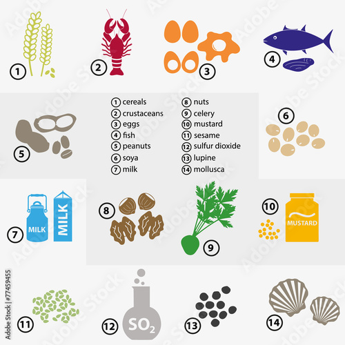 colorful set of food alergens and meal eps10