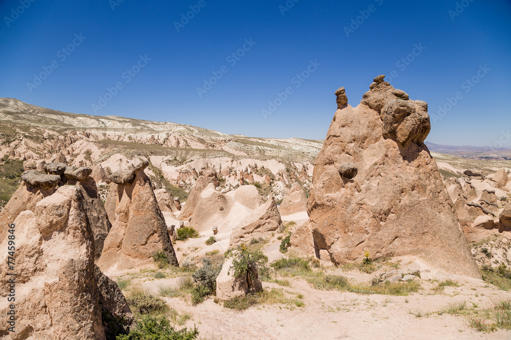 Cappadocia, Devrent Valley. Whimsical shapes of weathering
