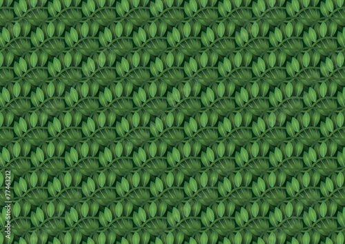 Green leaves texture. Vector illustration.