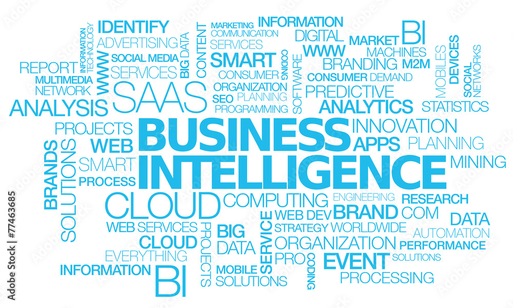 Obraz premium Business Intelligence saas cloud computing words tag cloud text