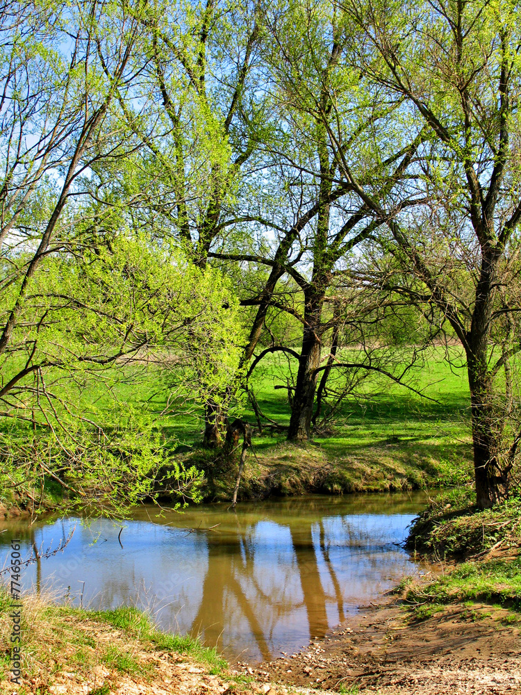 Wade across the river in springtime Wade across the river in springtime