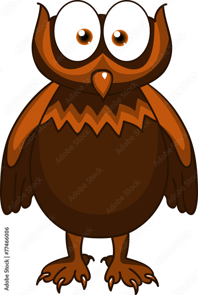 Funny owl Funny owl