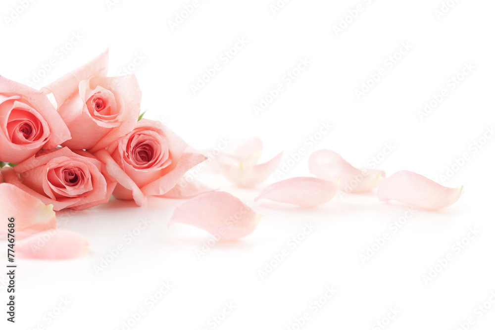 Fototapeta premium Różowe róże i płatki