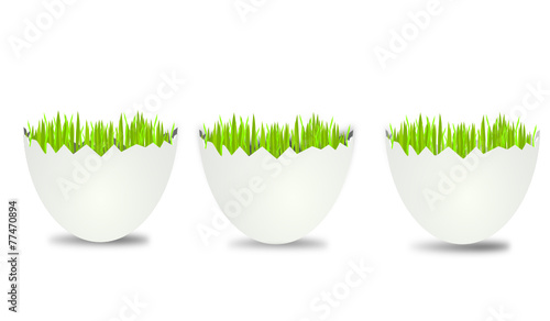 eier gras wiese offen banner