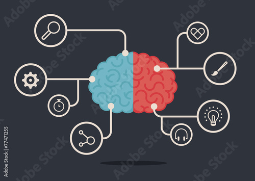 Left & right human brain illustration
