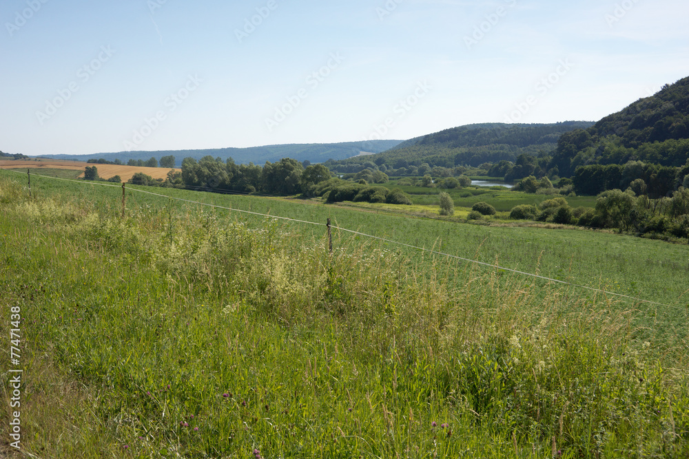 Hungarian landscape