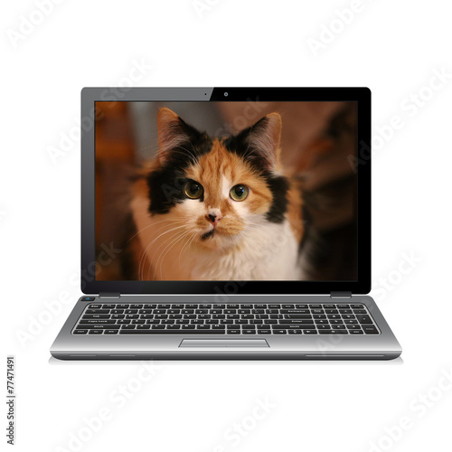 Modern notebook isolated on white with cat  portrait on screen