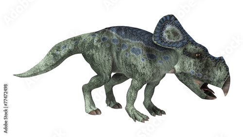 Dinosaur Protoceratops © photosvac