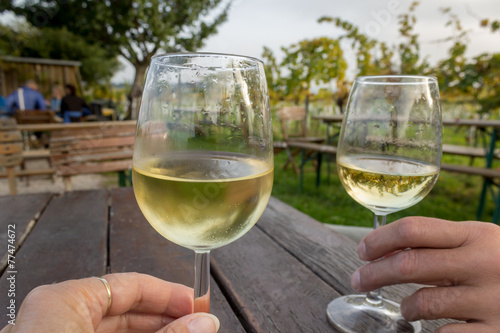 Tasting wine outdoor in a vineyard