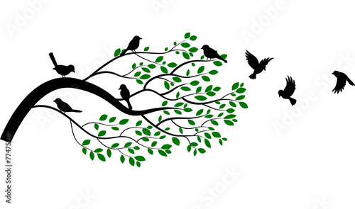 Naklejka Ilustracja gałąź z ptasią sylwetką