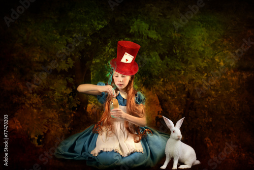 Billede på lærred ALICE LAPIN