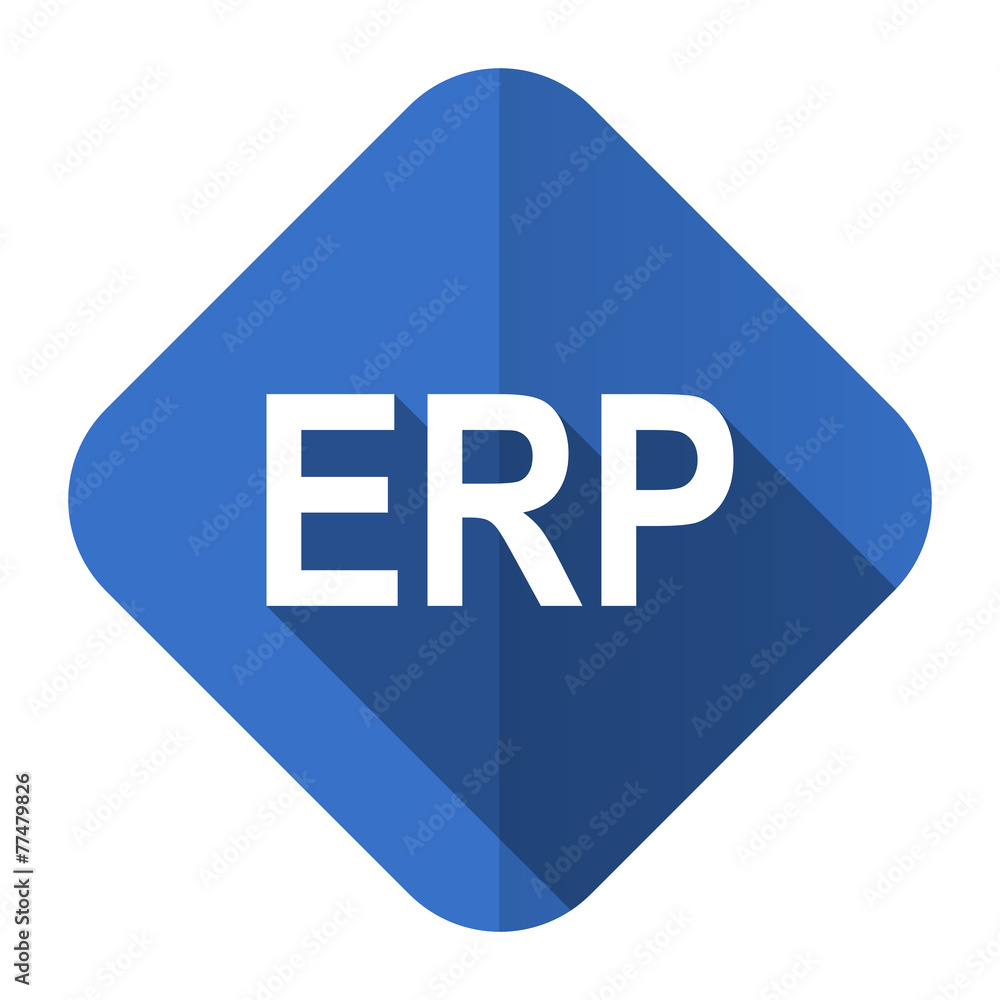 erp flat icon erp flat icon
