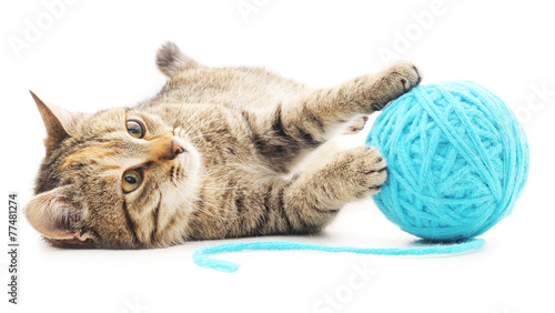 Cat with ball of yarn #77481274