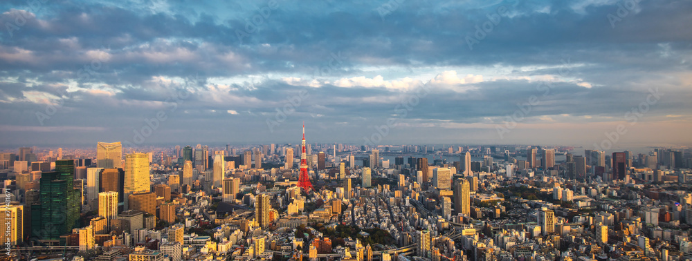 Fototapeta premium Tokyo aerial panoramic view