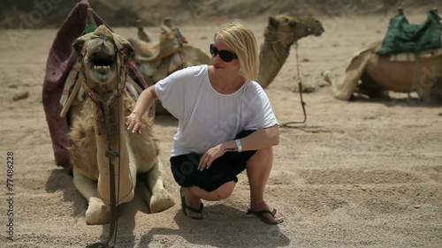 Attractive woman patting a camel photo