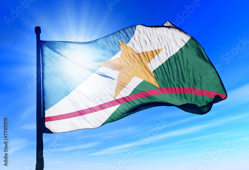 Roraima (Brazil) flag waving on the wind photo