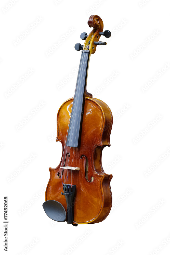 Fototapeta premium Violin isolated under the white background