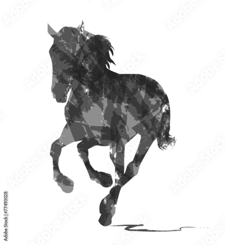 silhouette astratta di cavallo selvaggio