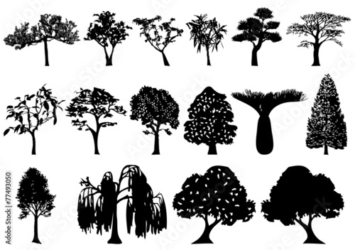Illustration of trees