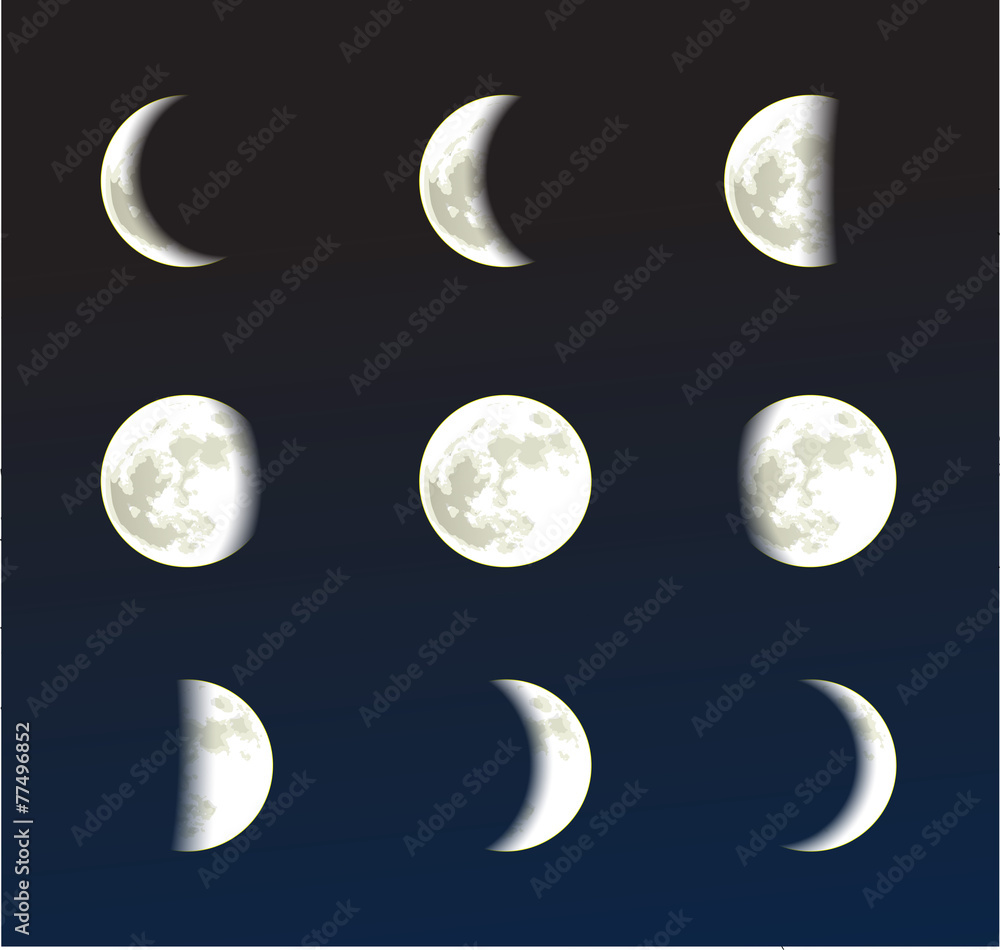 Naklejka premium Moon phases vector