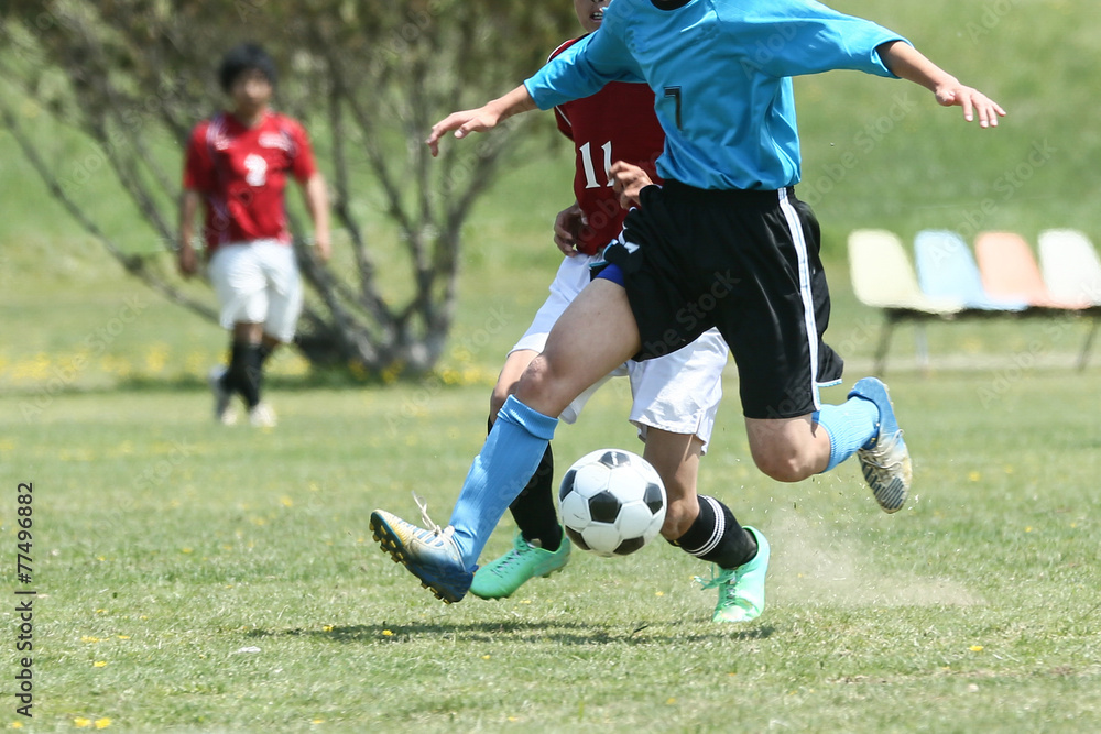 Fototapeta premium サッカー