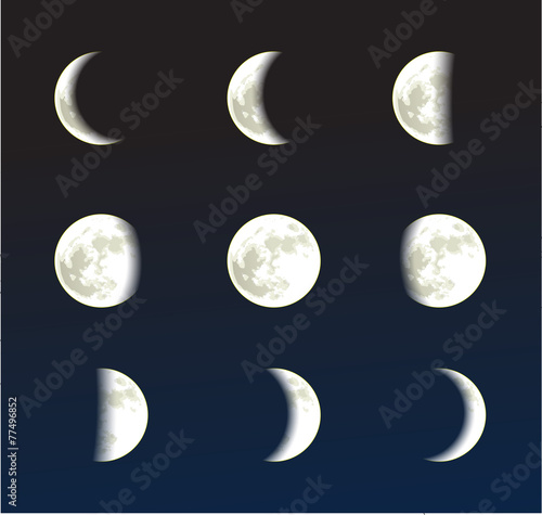 Moon phases vector