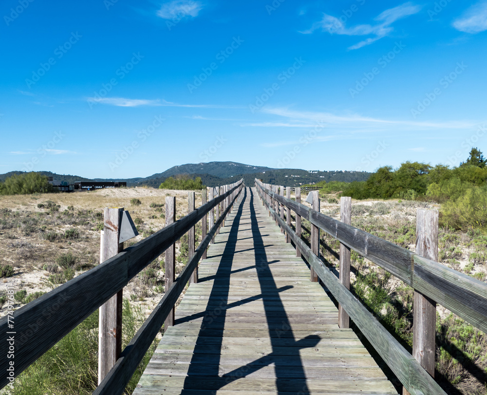 Walking on Wooden Walkway in the Sand Dunes Walking on Wooden Walkway in the Sand Dunes