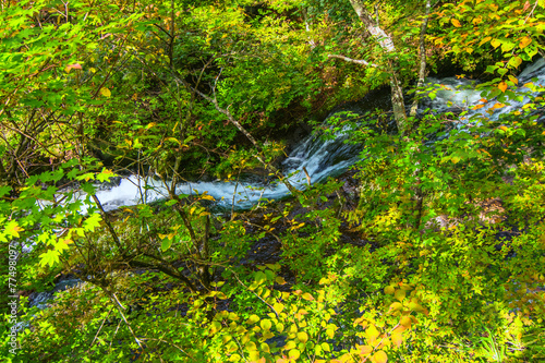 Yukawa waterfall photo