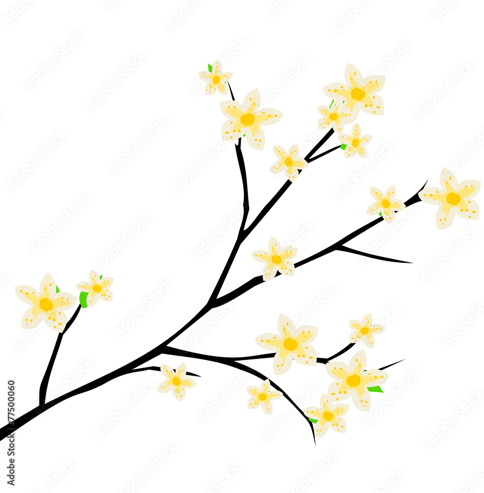 spring branch with flowers blooming vector spring branch with flowers blooming vector