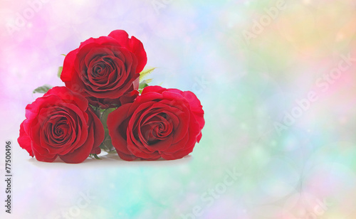 Three Red Roses on Rainbow Bokeh Background