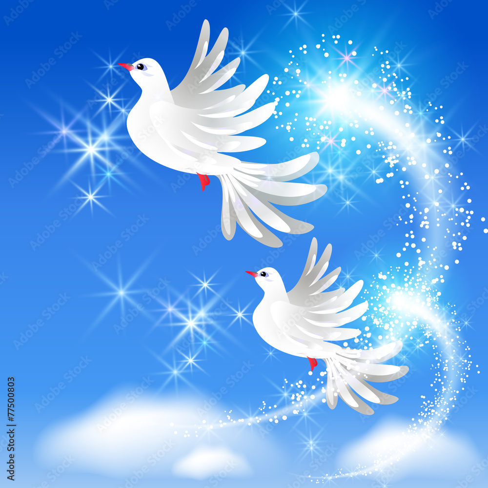 Flying two doves and sparkling salute Flying two doves and sparkling salute