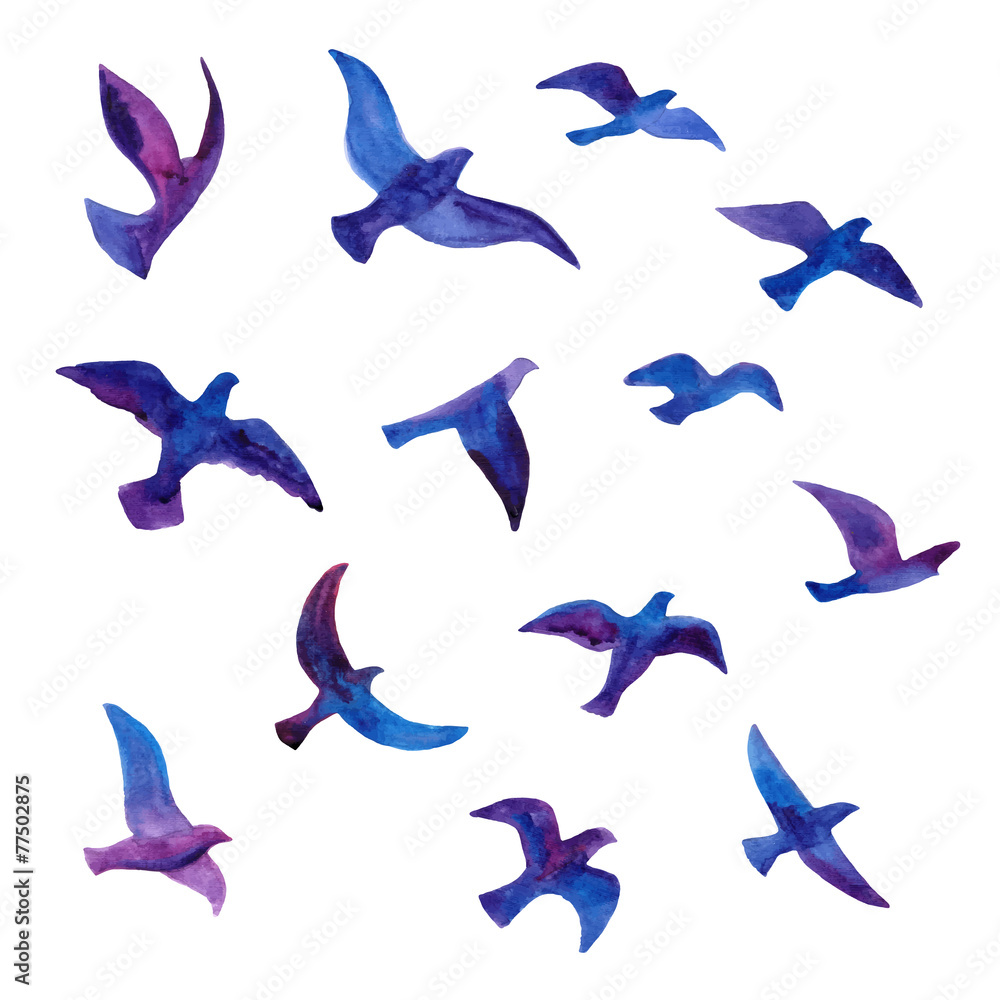 Fototapeta premium Hand drawn watercolor birds flock.