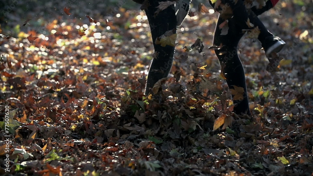 Kicking the leaves from the floor all around shot in slo-mo Kicking the leaves from the floor all around shot in slo-mo