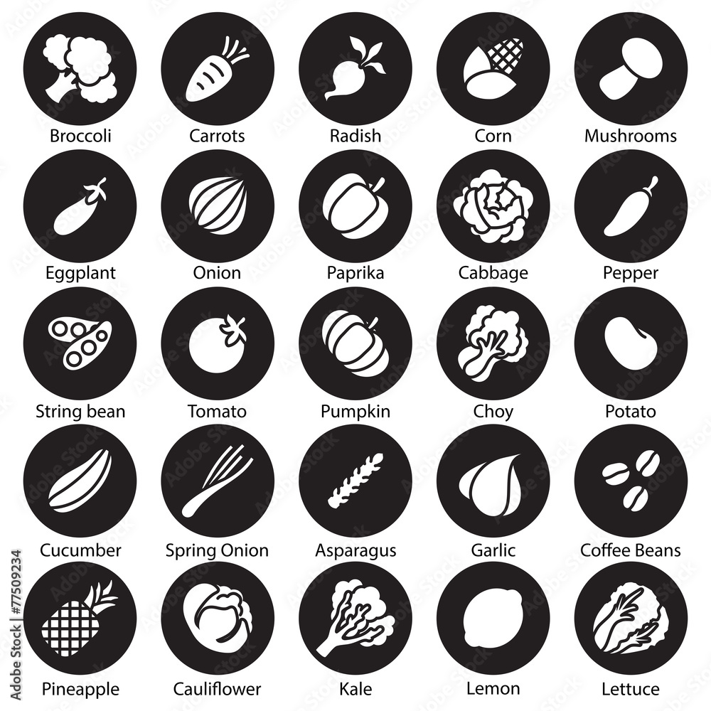 collection  vegetables vector set