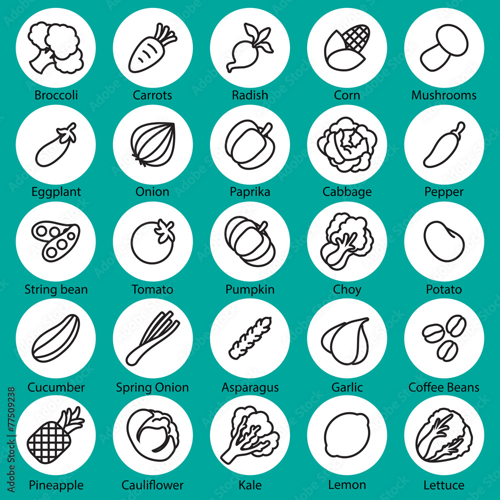 collection  vegetables vector set