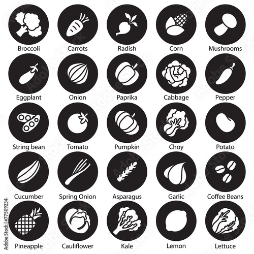 collection  vegetables vector set