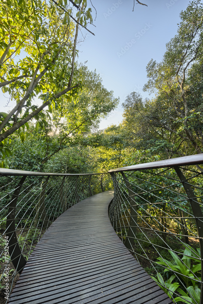 Obraz premium Kirstenbosch National Botanical Garden in Cape Town South Africa