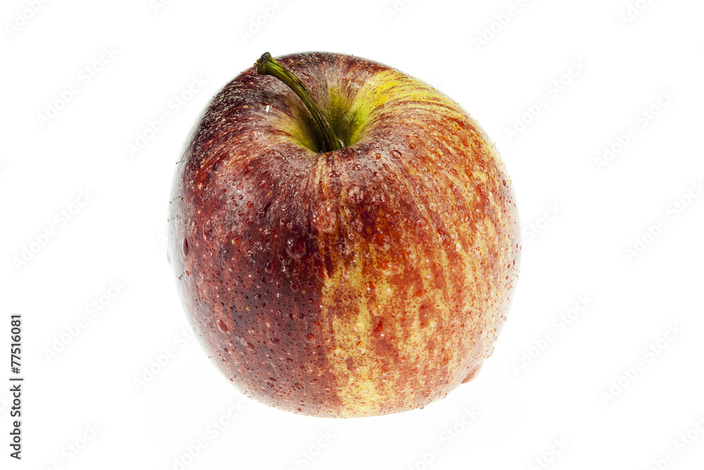 gala apple on white background cutout gala apple on white background cutout