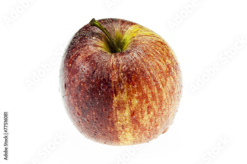 gala apple on white background cutout