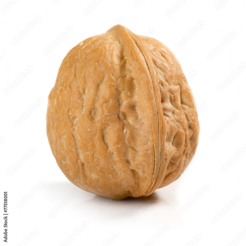 Walnut Walnut