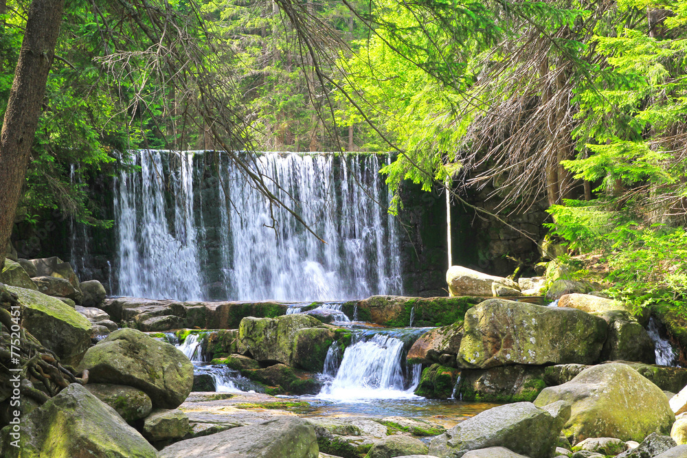 Fototapeta premium Dziki Wodospad