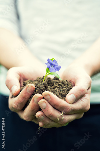 Hands and plant © honzakrej