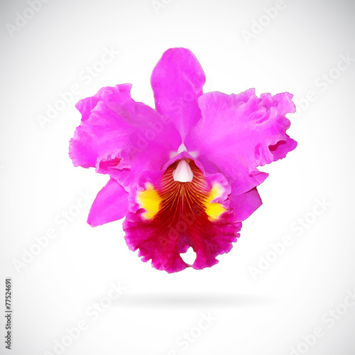 Fototapeta Naklejka Na Ścianę i Meble -  Vector image of orchid flower on white background