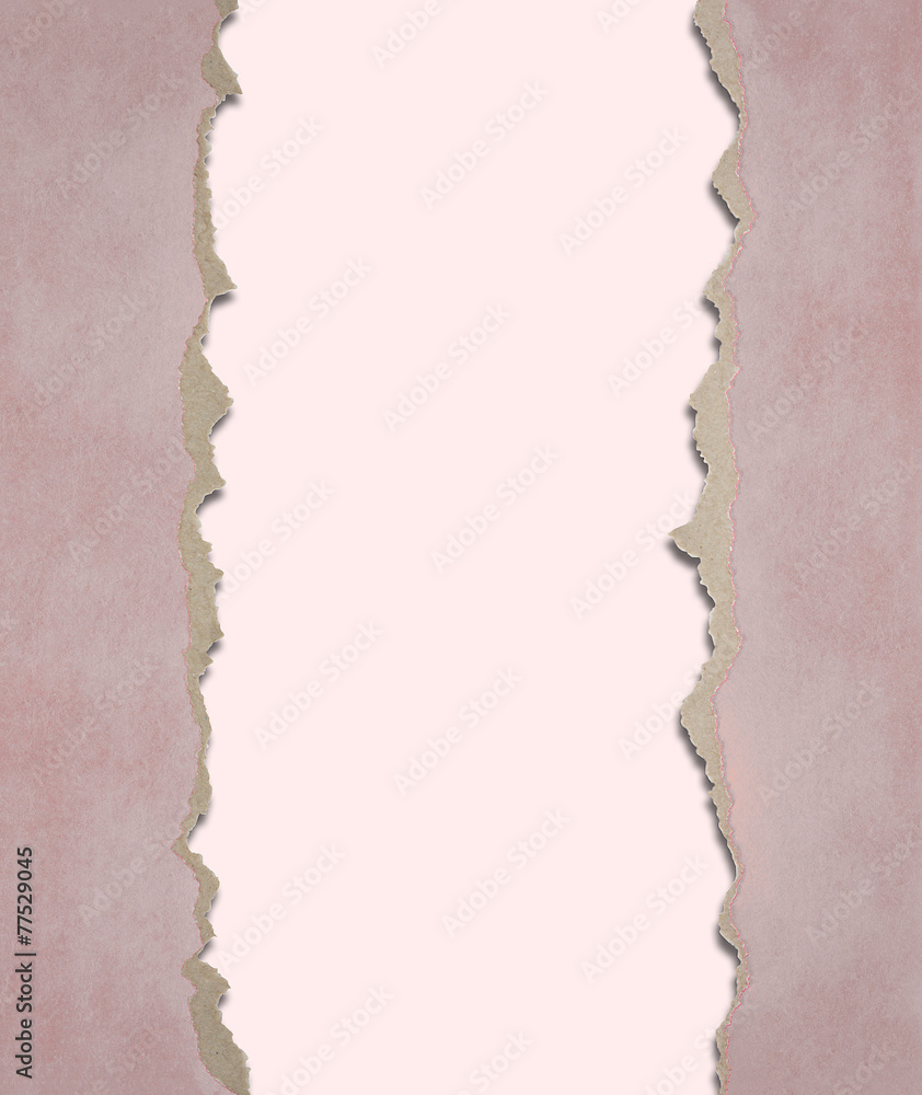 Fototapeta premium Background from a paper with the torn edges