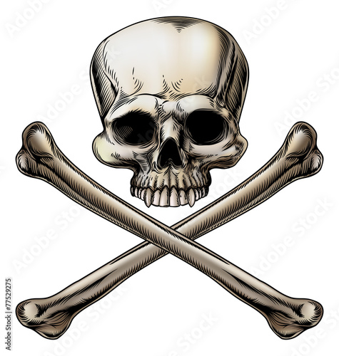 Jolly roger illustration