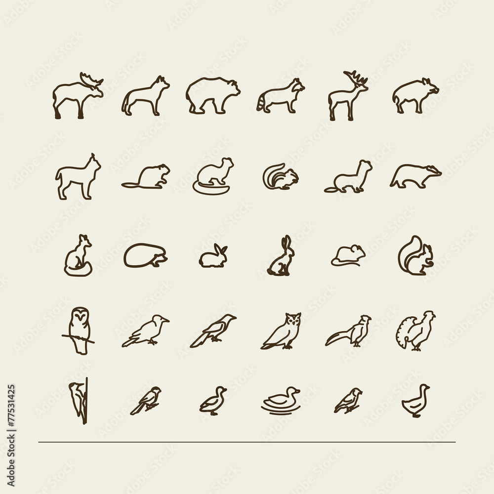 Forest animals and birds Forest animals and birds