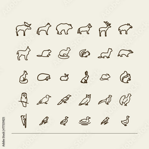 Forest animals and birds