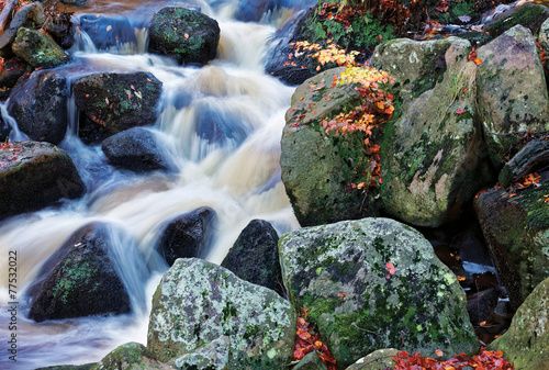 Canvas Print Autumn waterfall closeup with rocks and yellow leaves