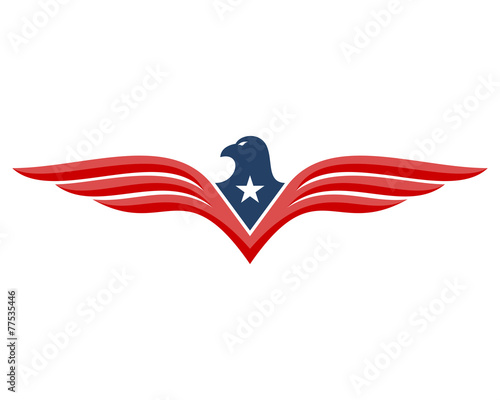 Eagle Fly